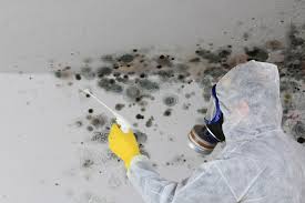 Best Environmental Consulting for Mold Prevention  in Browns Lake, WI